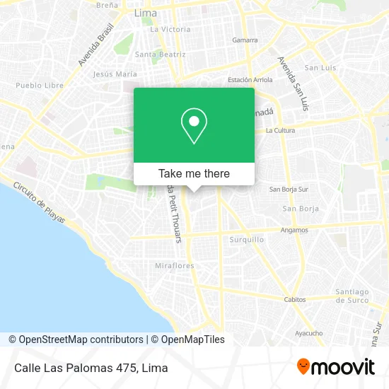 Calle Las Palomas 475 map