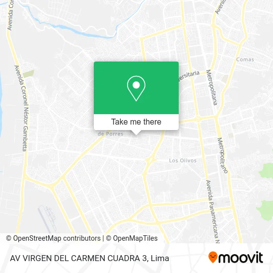 AV  VIRGEN DEL CARMEN CUADRA 3 map
