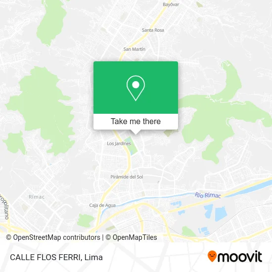 CALLE FLOS FERRI map