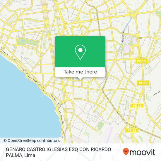 GENARO CASTRO IGLESIAS ESQ CON RICARDO PALMA map