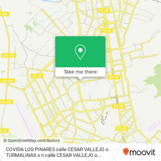 COVIDA   LOS PINARES  calle CESAR VALLEJO o TURMALINAS s n calle CESAR VALLEJO o TURMALINAS s n map