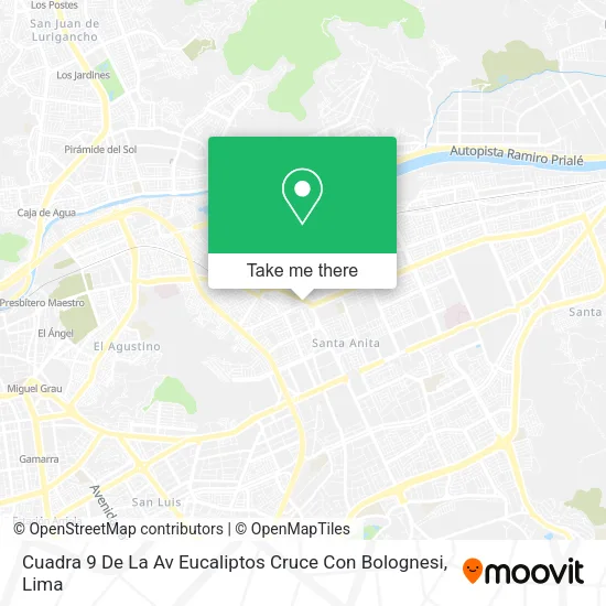 Mapa de Cuadra 9 De La Av  Eucaliptos Cruce Con Bolognesi