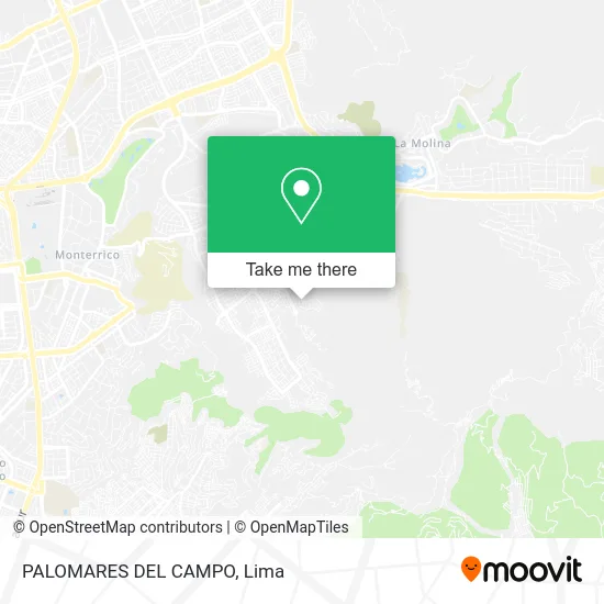 PALOMARES DEL CAMPO map