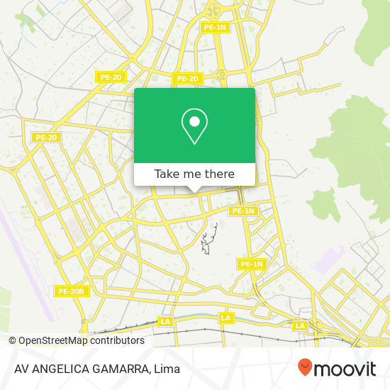 AV ANGELICA GAMARRA map