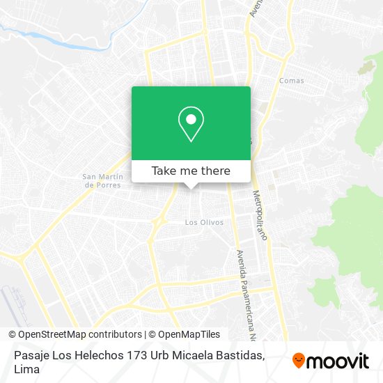 Pasaje Los Helechos 173 Urb  Micaela Bastidas map