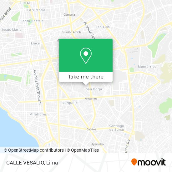 CALLE VESALIO map