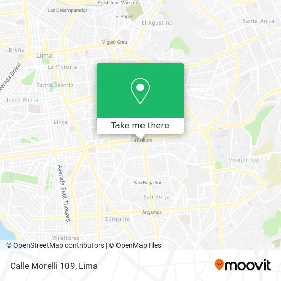 Calle Morelli 109 map