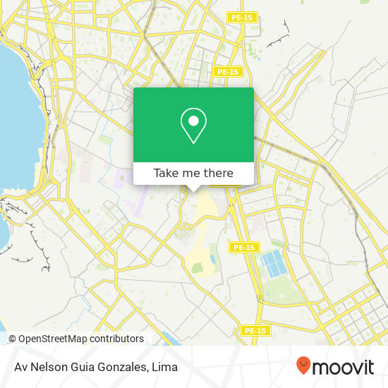 Av  Nelson Guia Gonzales map