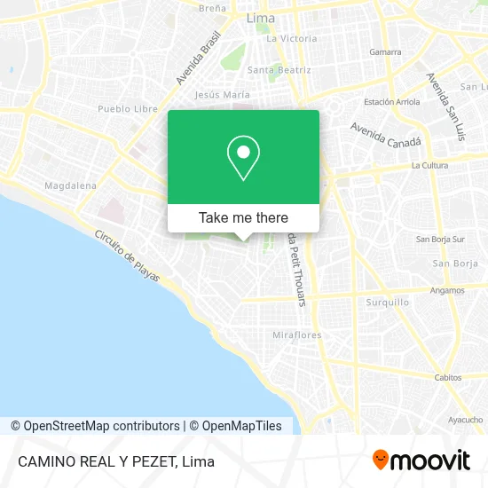 CAMINO REAL Y PEZET map