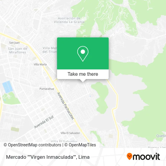 Mapa de Mercado ""Virgen Inmaculada""