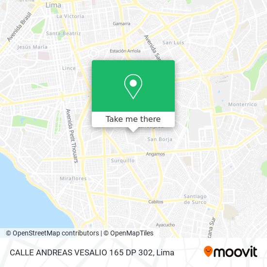 CALLE ANDREAS VESALIO 165 DP 302 map