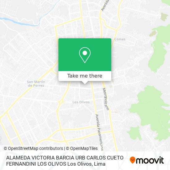 ALAMEDA VICTORIA BARCIA   URB  CARLOS CUETO FERNANDINI LOS OLIVOS  Los Olivos map