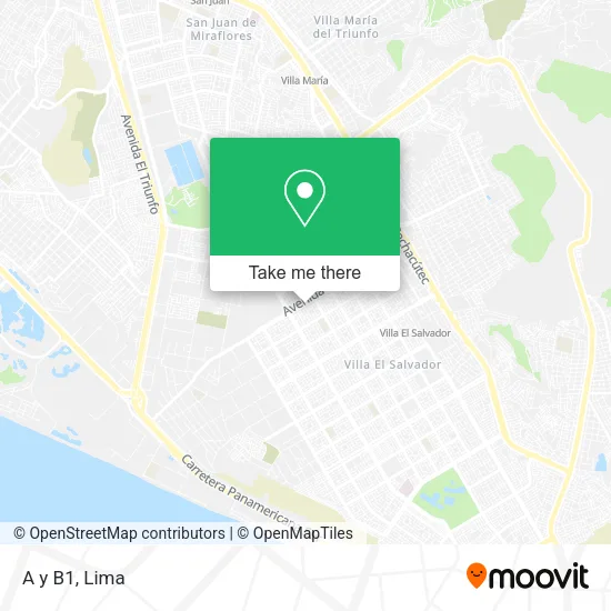 A y B1 map