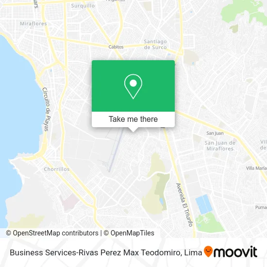 Mapa de Business Services-Rivas Perez Max Teodomiro