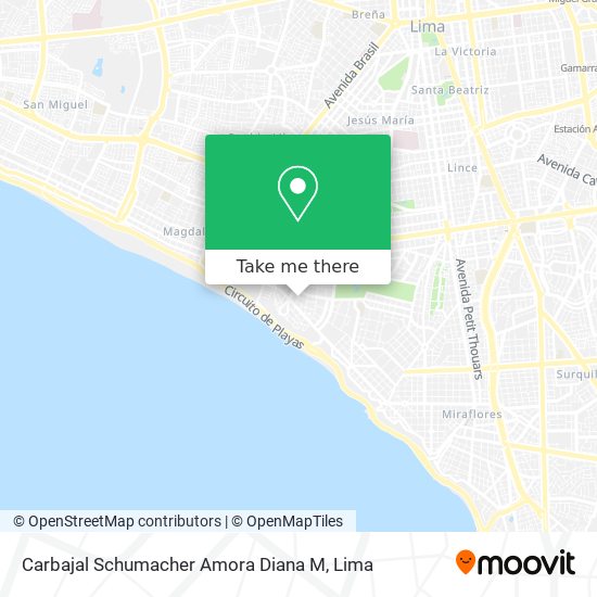 Carbajal Schumacher Amora Diana M map