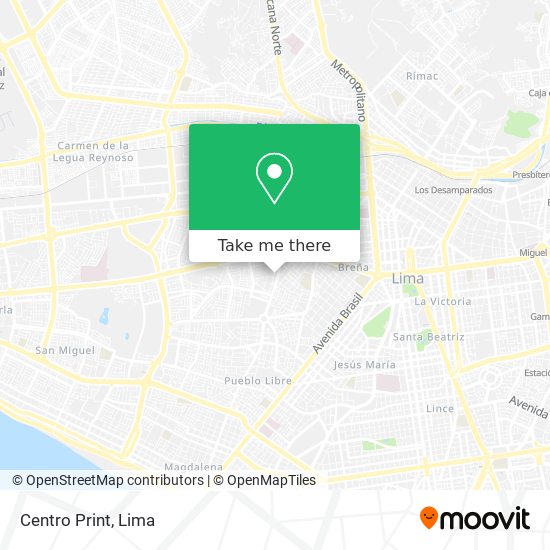 Centro Print map