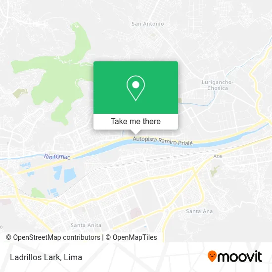 Ladrillos Lark map