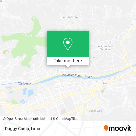 Doggy Camp map