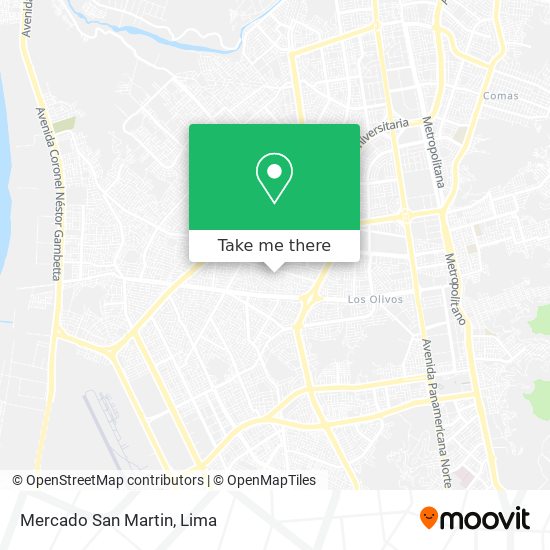 Mercado San Martin map