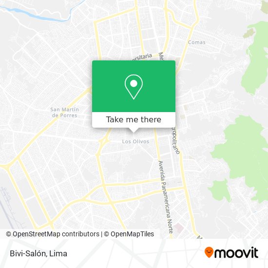 Bivi-Salón map