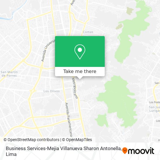 Mapa de Business Services-Mejia Villanueva Sharon Antonella