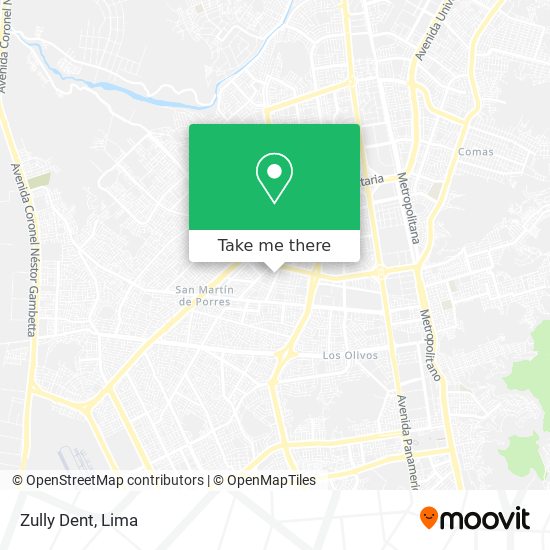 Zully Dent map