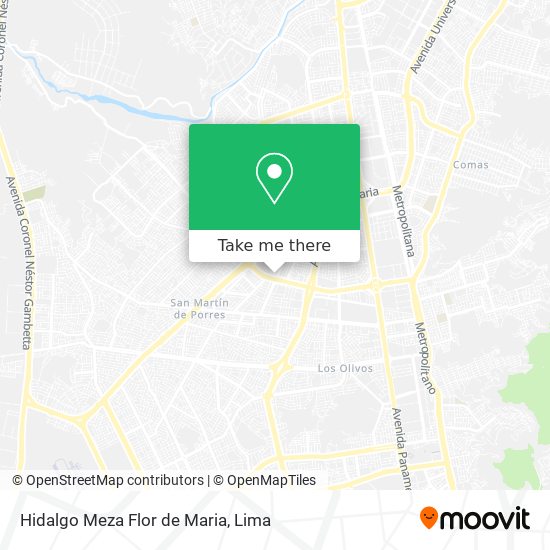 Mapa de Hidalgo Meza Flor de Maria