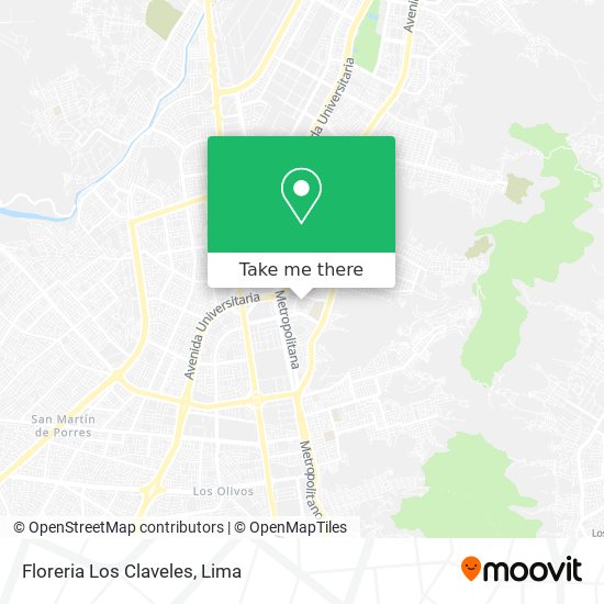 Mapa de Floreria Los Claveles