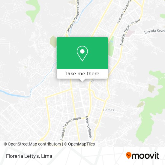 Mapa de Floreria Letty's