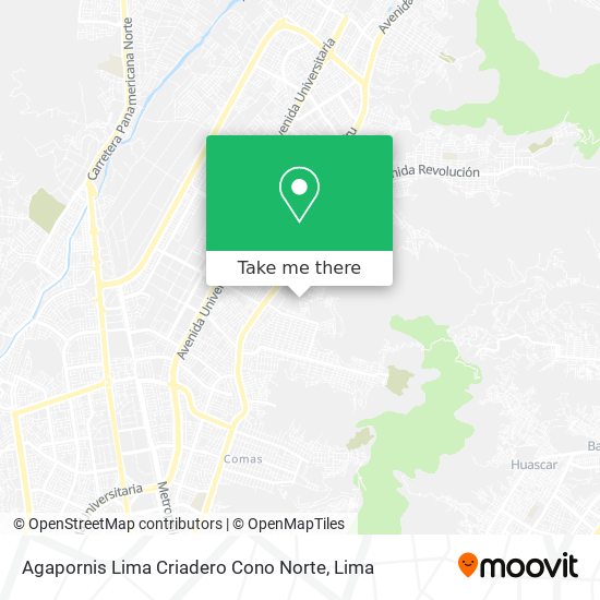 Agapornis Lima Criadero Cono Norte map