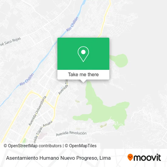 Mapa de Asentamiento Humano Nuevo Progreso