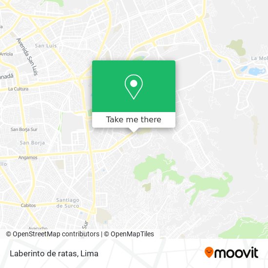 Laberinto de ratas map