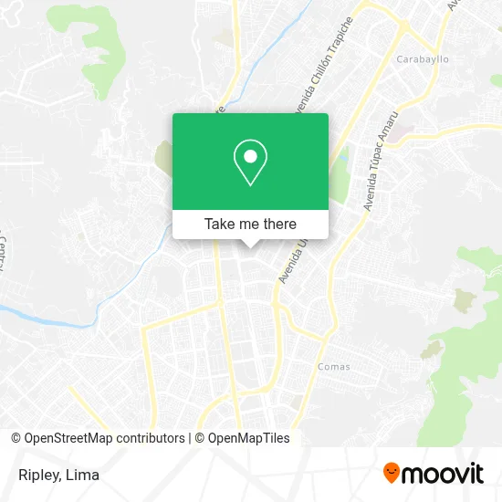 Ripley map