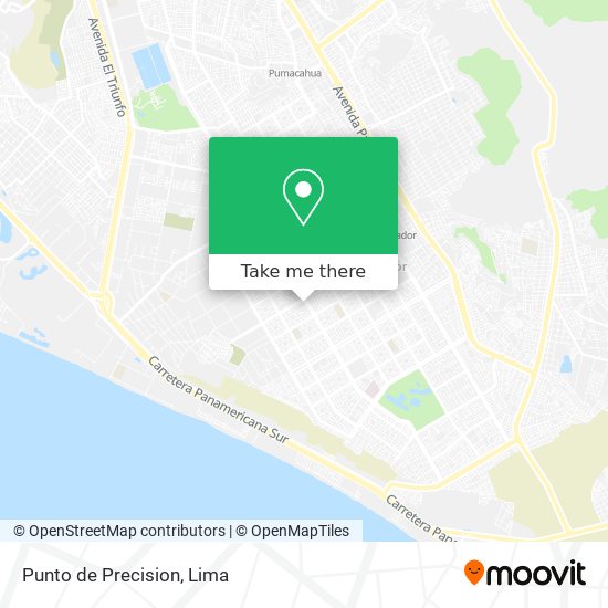 Punto de Precision map