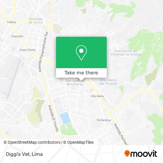 Diggi's Vet map