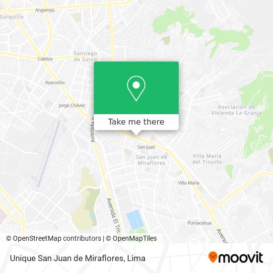 Unique San Juan de Miraflores map