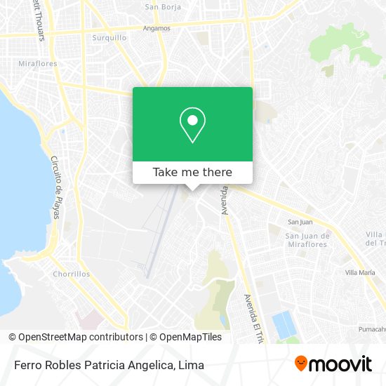 Ferro Robles Patricia Angelica map