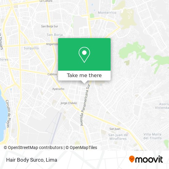 Hair Body Surco map