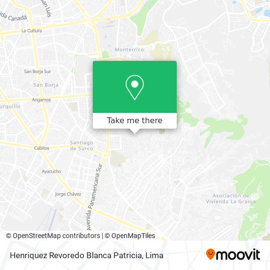 Henriquez Revoredo Blanca Patricia map