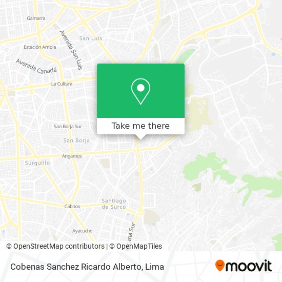Mapa de Cobenas Sanchez Ricardo Alberto