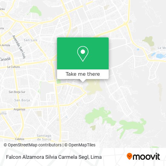 Falcon Alzamora Silvia Carmela Segl map