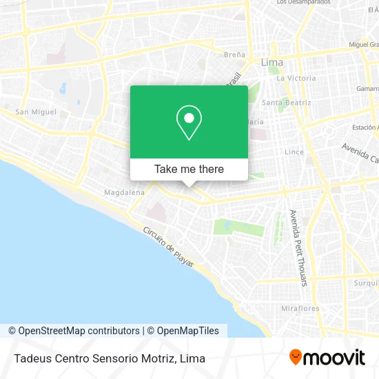 Mapa de Tadeus Centro Sensorio Motriz