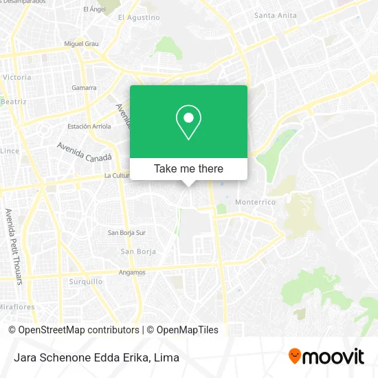 Mapa de Jara Schenone Edda Erika