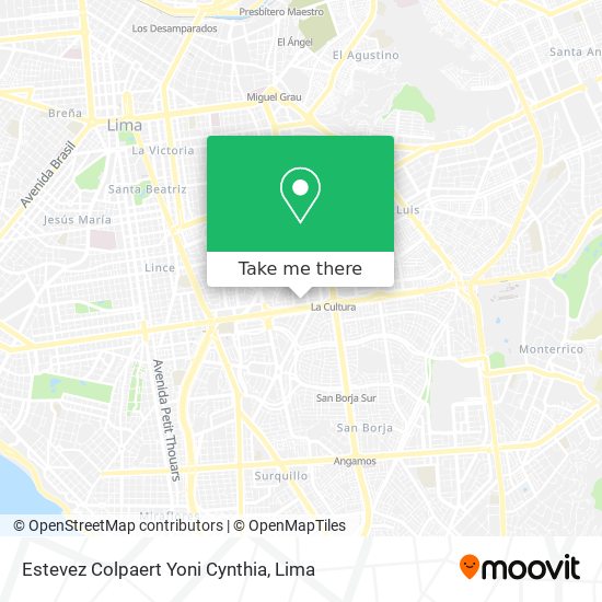 Estevez Colpaert Yoni Cynthia map