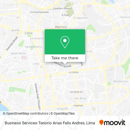 Mapa de Business Services-Tenorio Arias Felix Andres