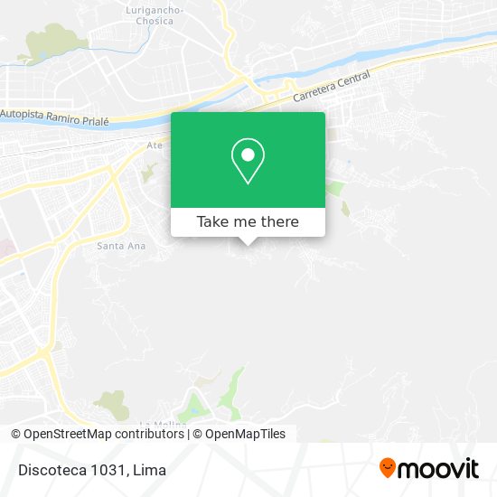 Discoteca 1031 map