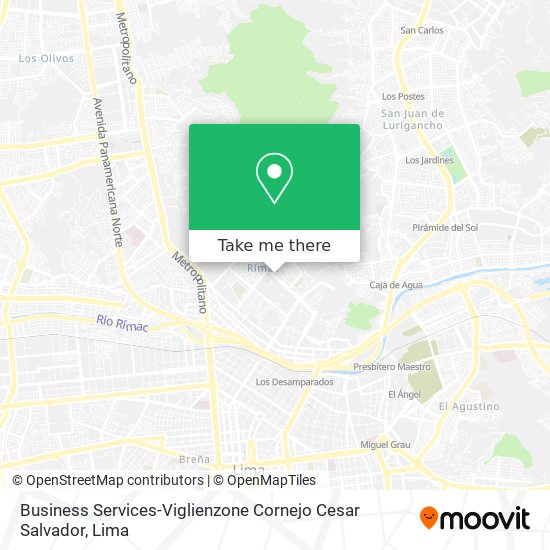 Mapa de Business Services-Viglienzone Cornejo Cesar Salvador