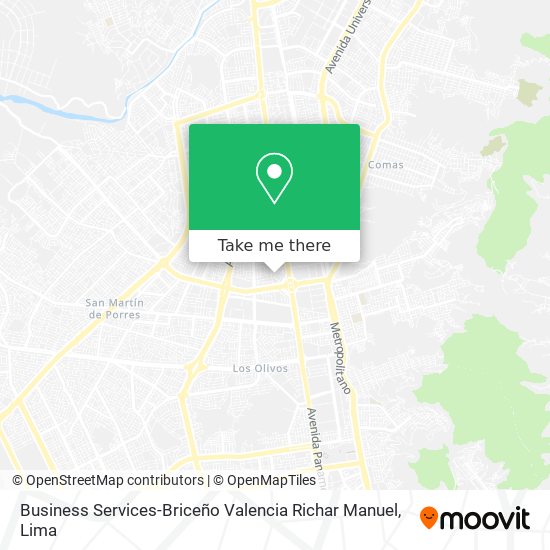 Mapa de Business Services-Briceño Valencia Richar Manuel