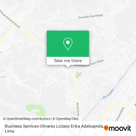 Mapa de Business Services-Olivares Lozano Erika Adelsaynda