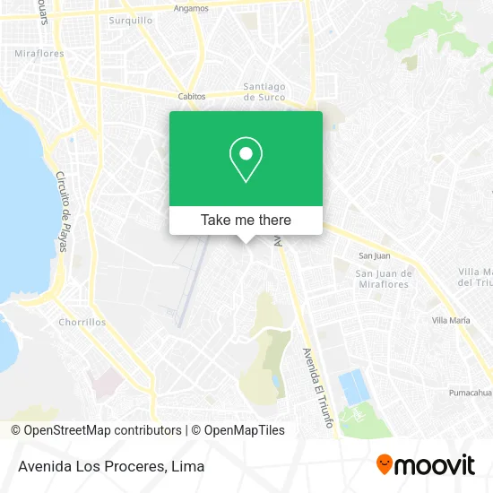 Mapa de Avenida Los Proceres